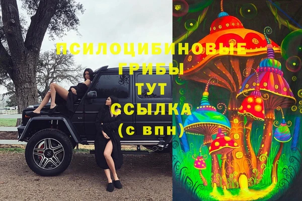 а пвп мука Аркадак