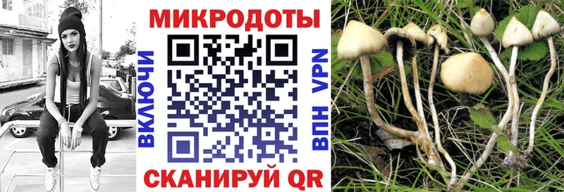Галлюциногенные грибы прущие грибы Полесск